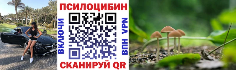 Галлюциногенные грибы ЛСД Нальчик