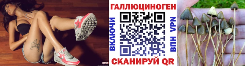 Псилоцибиновые грибы Magic Shrooms купить сайты Нальчик