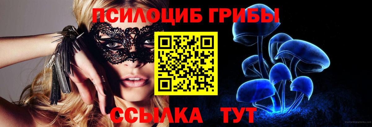 Псилоцибиновые грибы ЛСД Нальчик