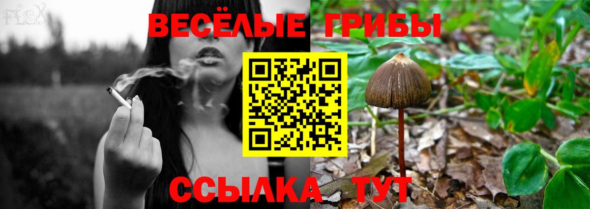 Нальчик  Галлюциногенные грибы прущие грибы  Вход с VPN 